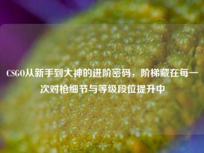 CSGO从新手到大神的进阶密码，阶梯藏在每一次对枪细节与等级段位提升中