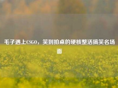 毛子遇上CSGO，笑到拍桌的硬核整活搞笑名场面