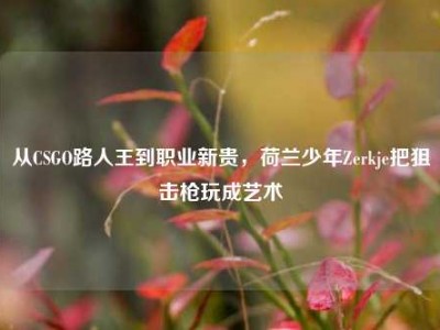 从CSGO路人王到职业新贵，荷兰少年Zerkje把狙击枪玩成艺术