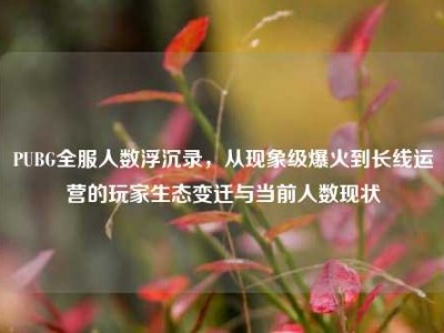 PUBG全服人数浮沉录，从现象级爆火到长线运营的玩家生态变迁与当前人数现状