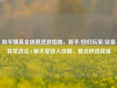 和平精英全场景进游指南，新手/回归玩家/设备异常进法+聊天室进入攻略，看完秒进战场