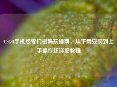 CSGO手机版零门槛畅玩指南，从下载安装到上手操作超详细教程