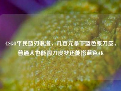 CSGO平民蓝刃浪漫，几百元拿下蓝色系刀皮，普通人也能圆刀皮梦还能搭蓝色AK