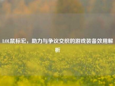 LOL鼠标宏，助力与争议交织的游戏装备效用解析