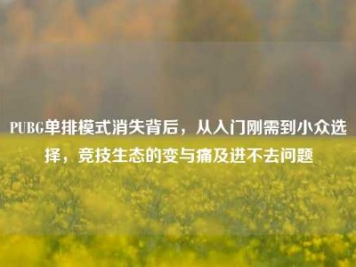 PUBG单排模式消失背后，从入门刚需到小众选择，竞技生态的变与痛及进不去问题