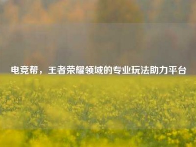 电竞帮，王者荣耀领域的专业玩法助力平台
