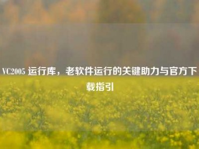VC2005 运行库，老软件运行的关键助力与官方下载指引
