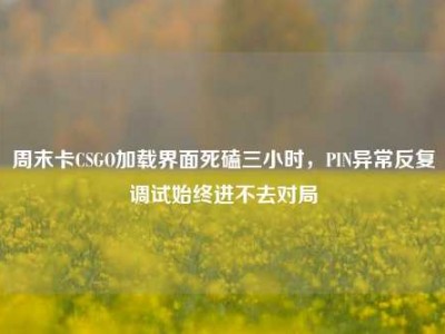 周末卡CSGO加载界面死磕三小时，PIN异常反复调试始终进不去对局