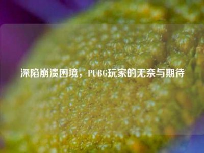 深陷崩溃困境，PUBG玩家的无奈与期待