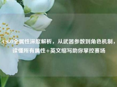 CSGO全属性深度解析，从武器参数到角色机制，读懂所有属性+英文缩写助你掌控赛场