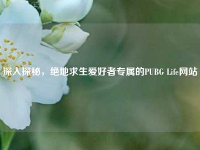深入探秘，绝地求生爱好者专属的PUBG Life网站