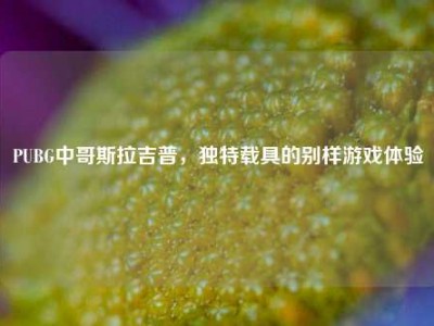 PUBG中哥斯拉吉普，独特载具的别样游戏体验