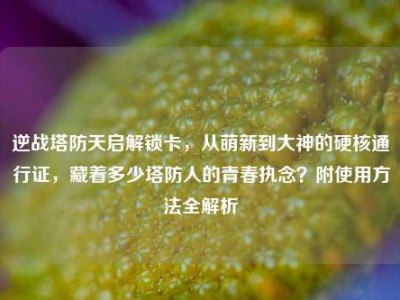 逆战塔防天启解锁卡，从萌新到大神的硬核通行证，藏着多少塔防人的青春执念？附使用方法全解析