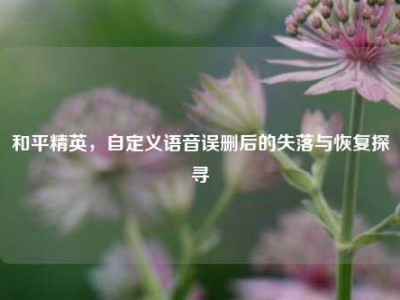 和平精英，自定义语音误删后的失落与恢复探寻