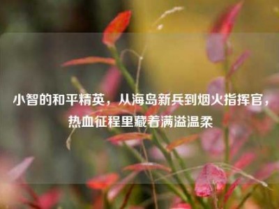 小智的和平精英，从海岛新兵到烟火指挥官，热血征程里藏着满溢温柔