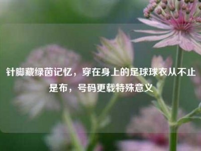 针脚藏绿茵记忆，穿在身上的足球球衣从不止是布，号码更载特殊意义