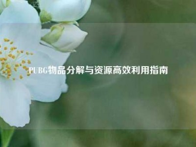 PUBG物品分解与资源高效利用指南