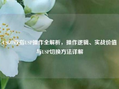 CSGO双指USP操作全解析，操作逻辑、实战价值与USP切换方法详解