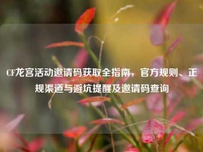 CF龙宫活动邀请码获取全指南，官方规则、正规渠道与避坑提醒及邀请码查询