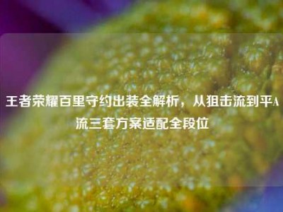 王者荣耀百里守约出装全解析，从狙击流到平A流三套方案适配全段位