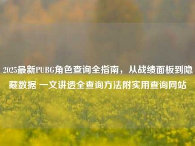 2025最新PUBG角色查询全指南，从战绩面板到隐藏数据 一文讲透全查询方法附实用查询网站