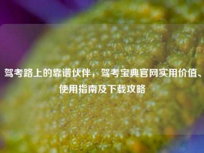 驾考路上的靠谱伙伴，驾考宝典官网实用价值、使用指南及下载攻略