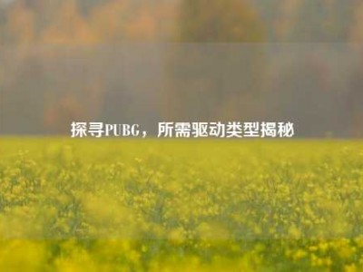 探寻PUBG，所需驱动类型揭秘