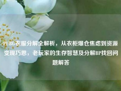 PUBG衣服分解全解析，从衣柜爆仓焦虑到资源变现巧思，老玩家的生存智慧及分解BP找回问题解答