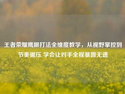 王者荣耀鹰眼打法全维度教学，从视野掌控到节奏碾压 学会让对手全程暴露无遗