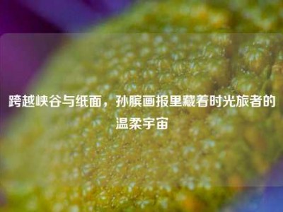 跨越峡谷与纸面，孙膑画报里藏着时光旅者的温柔宇宙
