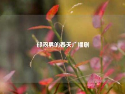 郁闷男的春天广播剧