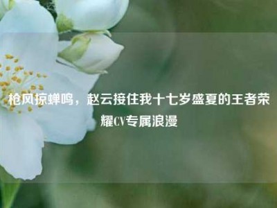 枪风掠蝉鸣，赵云接住我十七岁盛夏的王者荣耀CV专属浪漫