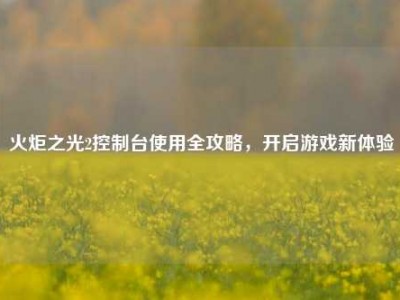 火炬之光2控制台使用全攻略，开启游戏新体验