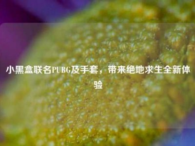 小黑盒联名PUBG及手套，带来绝地求生全新体验