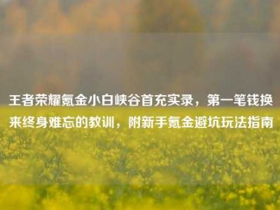 王者荣耀氪金小白峡谷首充实录，第一笔钱换来终身难忘的教训，附新手氪金避坑玩法指南