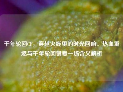 千年轮回CF，穿越火线里的时光回响、热血重燃与千年轮回错爱一场含义解析