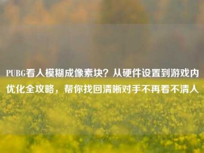 PUBG看人模糊成像素块？从硬件设置到游戏内优化全攻略，帮你找回清晰对手不再看不清人
