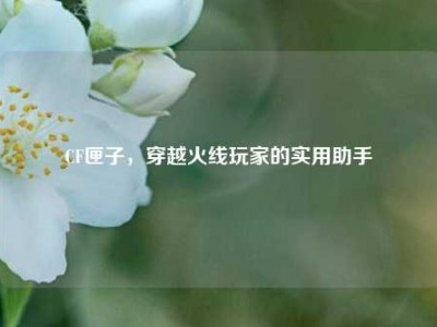 CF匣子，穿越火线玩家的实用助手