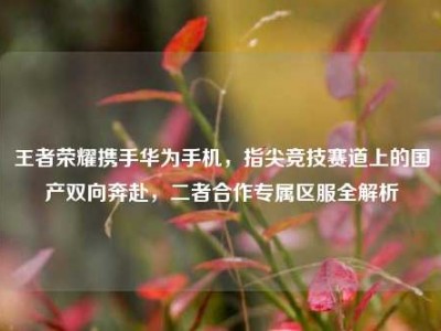 王者荣耀携手华为手机，指尖竞技赛道上的国产双向奔赴，二者合作专属区服全解析