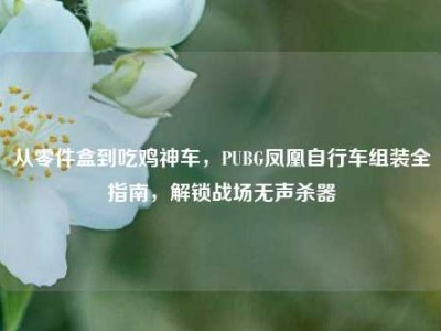 从零件盒到吃鸡神车，PUBG凤凰自行车组装全指南，解锁战场无声杀器