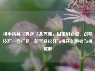 和平精英飞机获取全攻略，固定刷新点、召唤技巧一网打尽，新手轻松开飞机还能解锁飞机皮肤