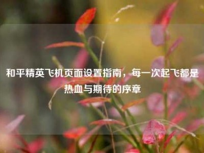 和平精英飞机页面设置指南，每一次起飞都是热血与期待的序章