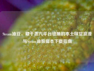 Steam油豆，藏于蒸汽平台缝隙的本土味觉浪漫与Steam油猴脚本下载指南