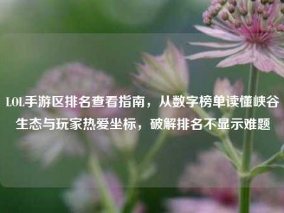 LOL手游区排名查看指南，从数字榜单读懂峡谷生态与玩家热爱坐标，破解排名不显示难题