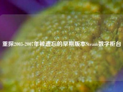 重探2003-2007年被遗忘的早期版本Steam数字柜台