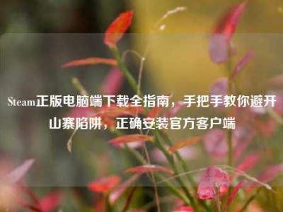 Steam正版电脑端下载全指南，手把手教你避开山寨陷阱，正确安装官方客户端