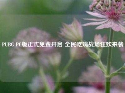 PUBG PC版正式免费开启 全民吃鸡战场狂欢来袭