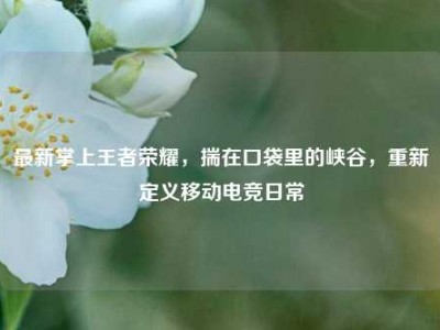 最新掌上王者荣耀，揣在口袋里的峡谷，重新定义移动电竞日常