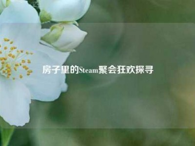 房子里的Steam聚会狂欢探寻