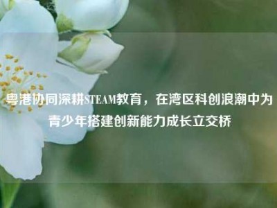 粤港协同深耕STEAM教育，在湾区科创浪潮中为青少年搭建创新能力成长立交桥
